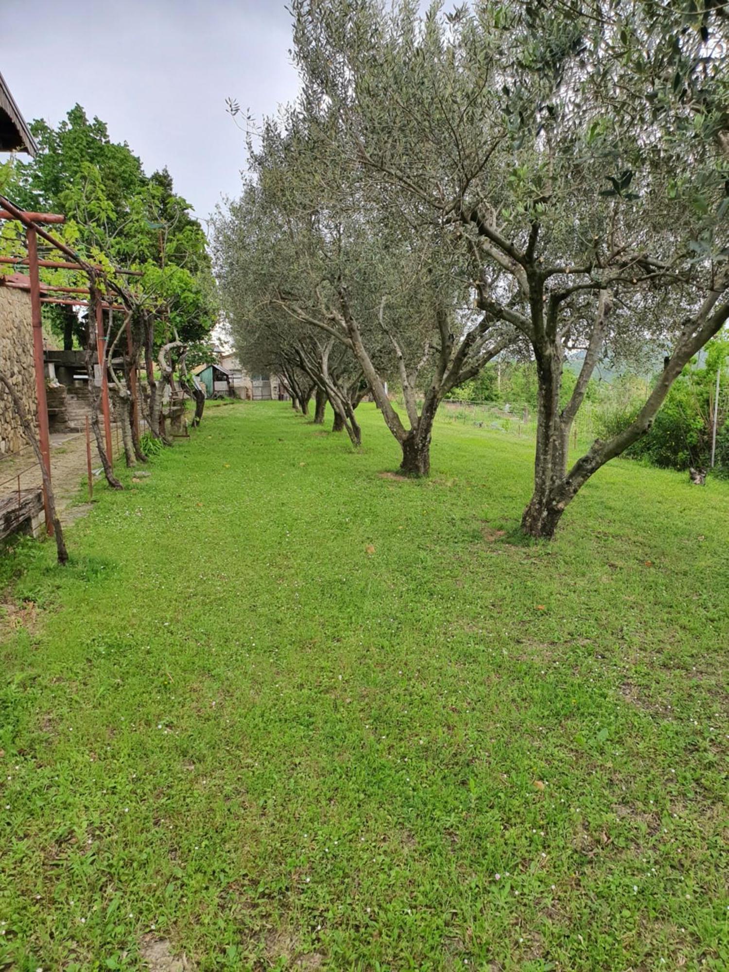 Apartma Vista Baredi Izola Eksteriør billede