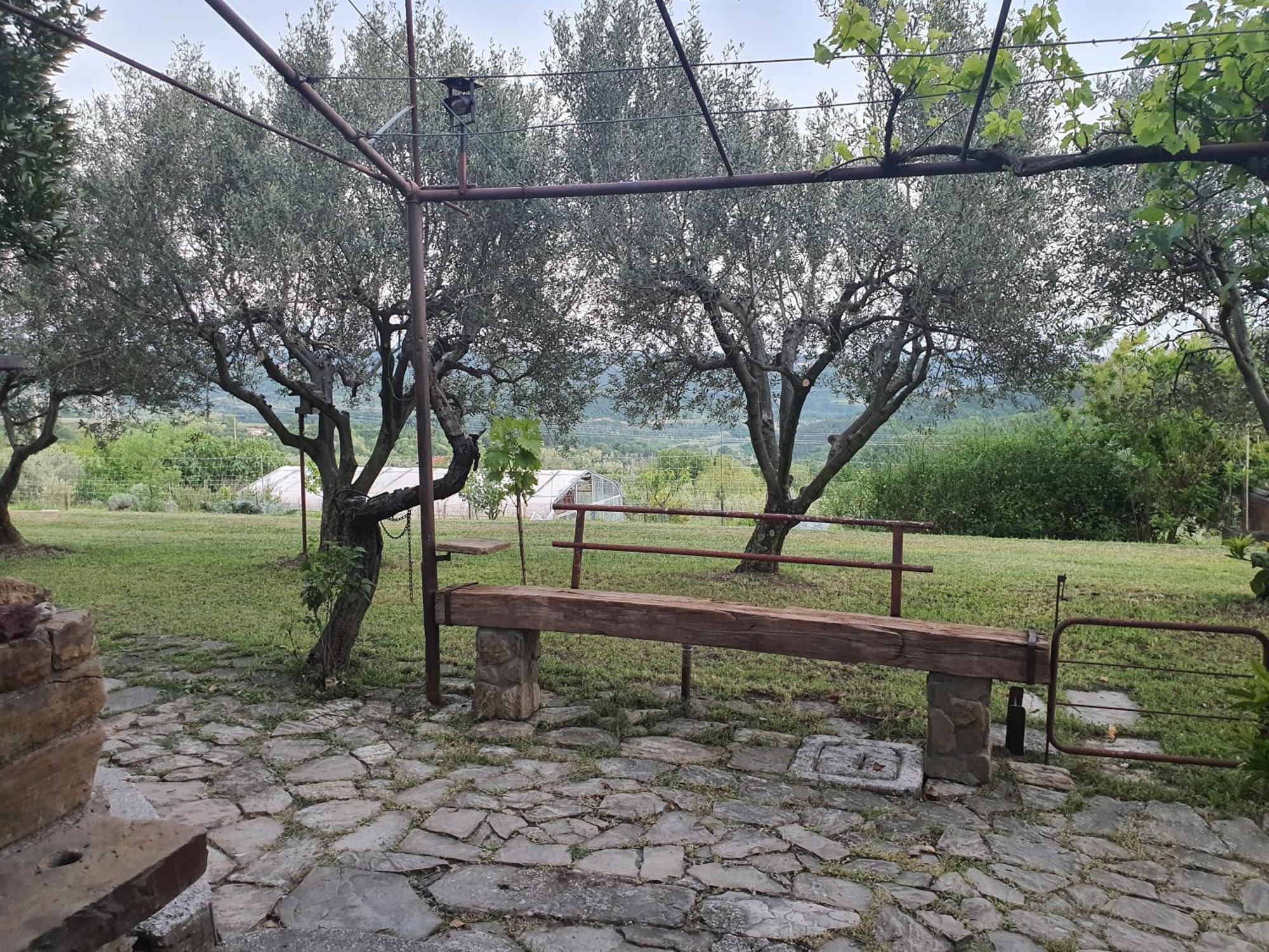 Apartma Vista Baredi Izola Eksteriør billede